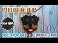 Ротвейлер из полимерной глины • мастер-класс • polymer clay • DIY