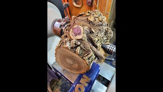 Woodturning  NEVER SEEN BEFORE  Nature's Hybrid