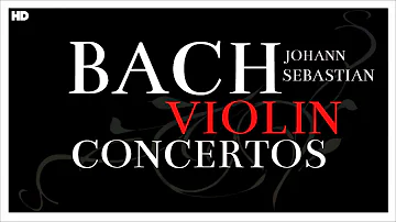 2 Hours Bach Violin Concertos | Classical Baroque Music | Focus Reading Studying