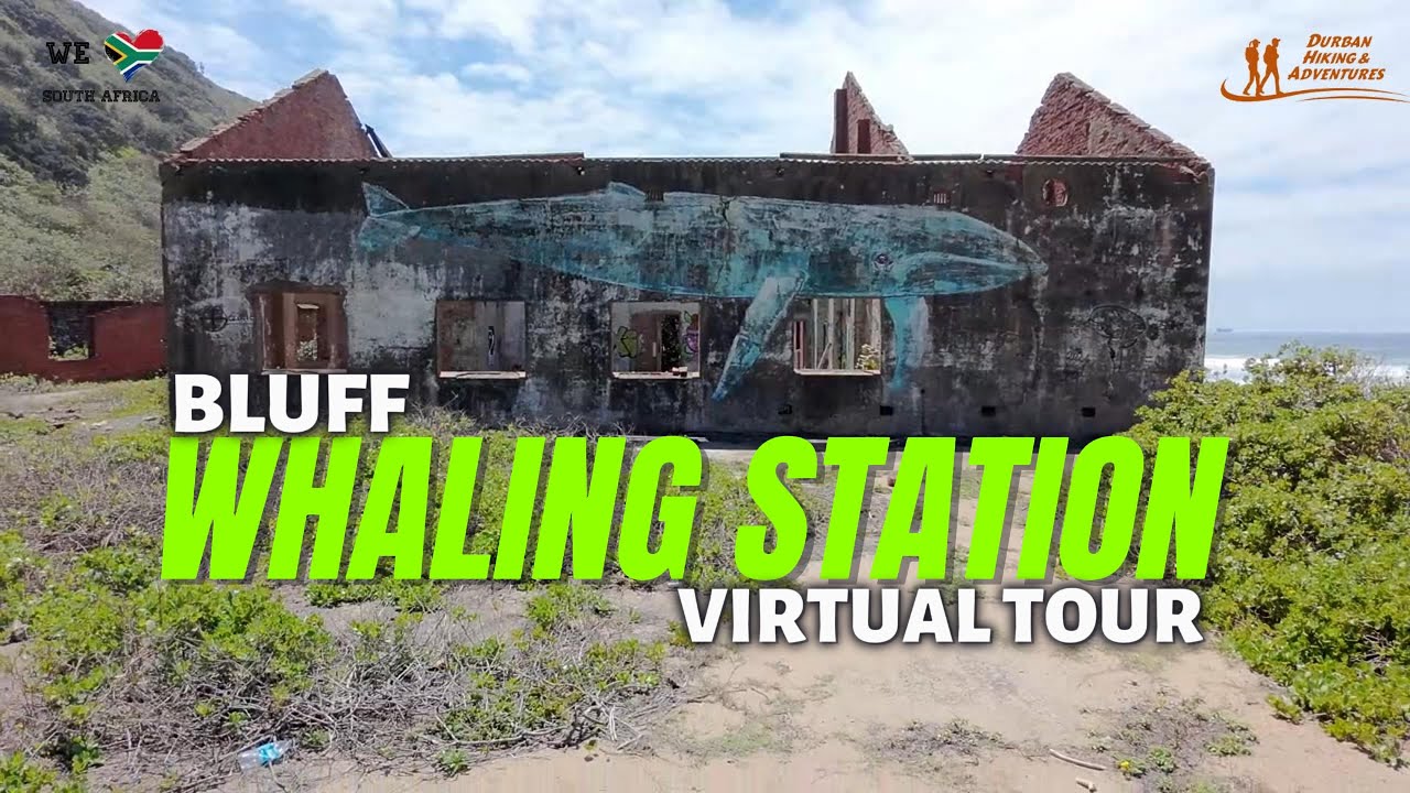 Bluff Whaling Station Virtual Tour YouTube bluff-whaling-station-virtual-tour-youtube