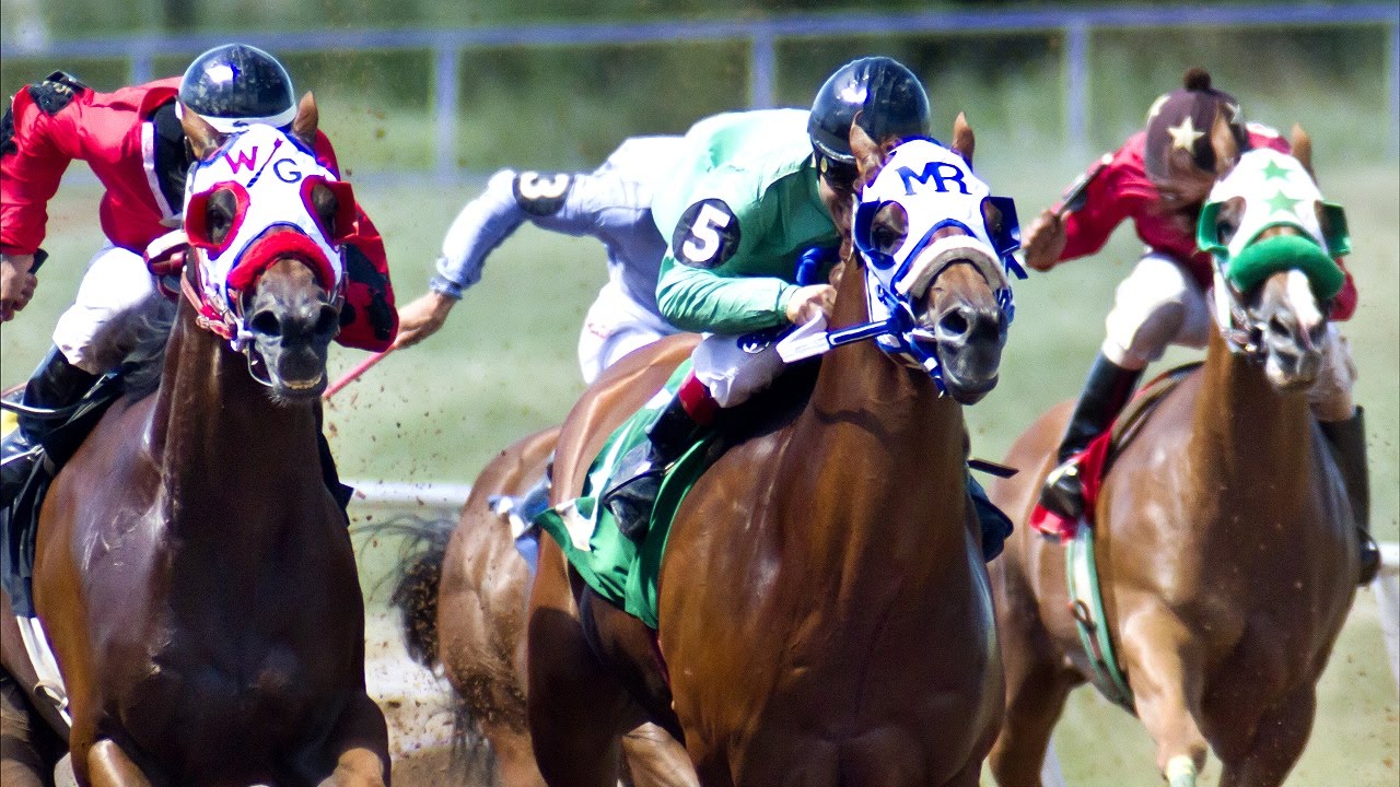 Weekend WrapUp - July 20, 2015