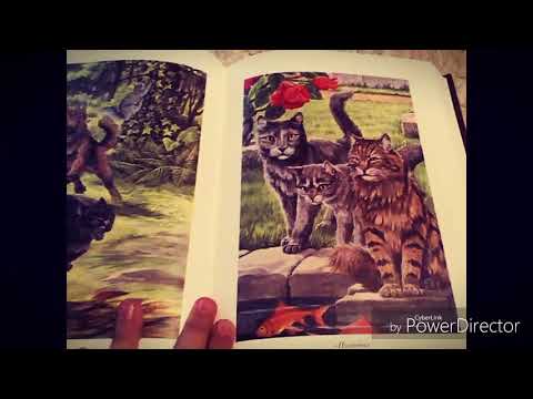 Первое Видео!🐾/Обзор на книгу "Полночь & Восход Луны/💜