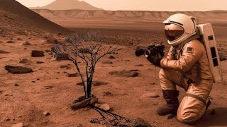 Perseverance Rover Sent Mars Planet Real Video - Sol 1048 | Mars 4k Video | Mars Latest Video