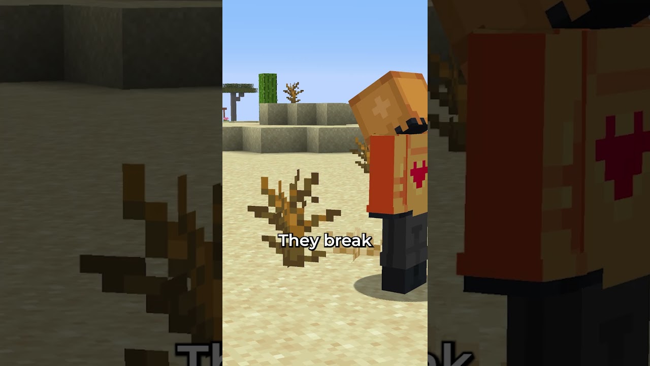 Most Useless Blocks in Minecraft