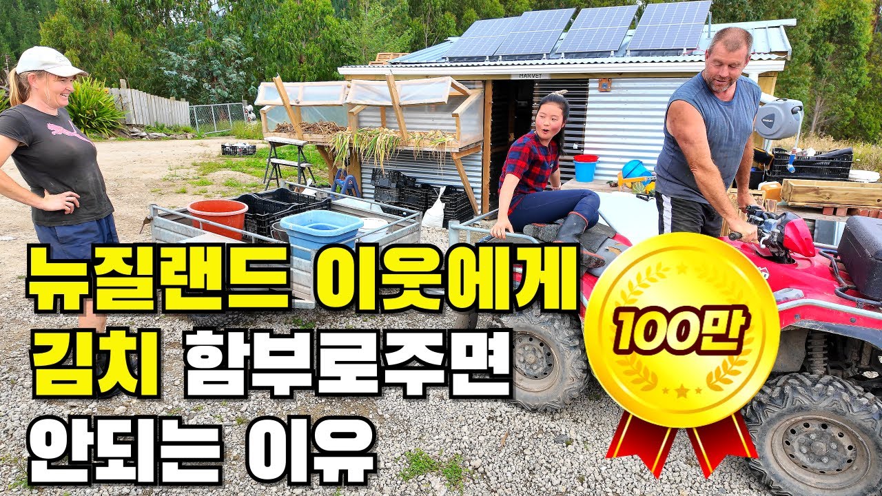 한국인 이웃이 처음인 뉴질랜드 동네에서 김치를 몇 번 나눠드렸더니 발생한 놀라운 일