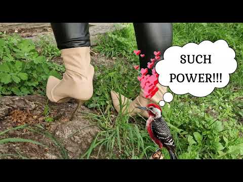 Woodpecker in steel heel ankle boots!!! 😃😈😃😘