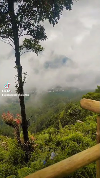 enaknya ngopi di gunung Telomoyo