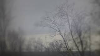 7 утра 27 апреля, идет дождь. Снял на объектив Индустар-96У от фотоувеличителя УПА-725