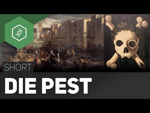 Video: Wie Man Eine Pest Macht