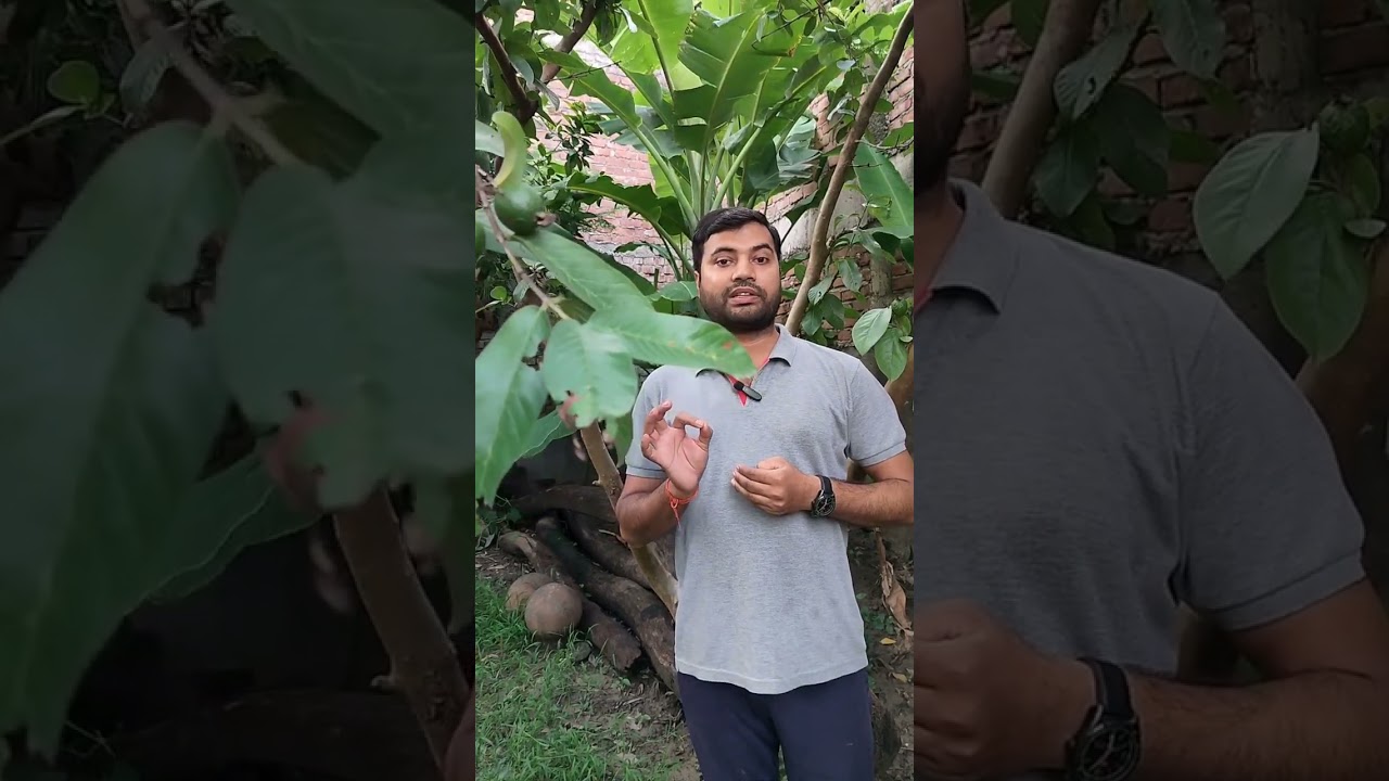 Yoga For One Earth,One Health 