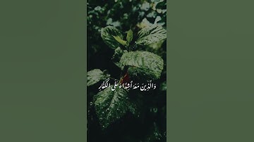 تلاوة عطرة للشيخ عبدالرحمن السديس آية من سورة الفتح.