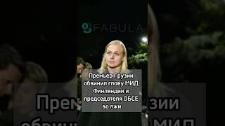 Премьер Грузии обвинил главу МИД Финляндии и председателя ОБСЕ во лжи