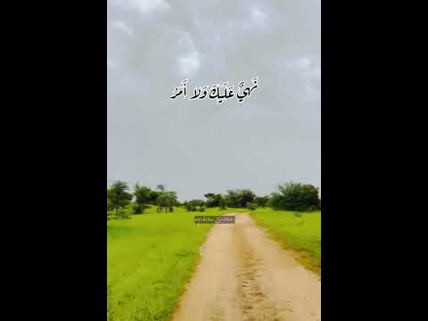 المرحومة ديمي منت ابه اراك عصي الدمع 