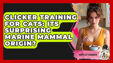 Clicker Training For Cats: Its Surprising Marine Mammal Origin? - Happy Cat Handbook