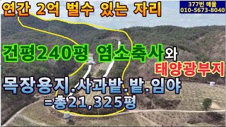 (377번 매물)염소축사(건평240평)+사과밭+밭+임야로 구성된 매물.청송군 현동면 소재.지하관정시설 및 전기 있음.염소200마리 사육 가능.4년생 사과밭.태양광부지 용 밭 있음