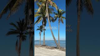 Physically I’m freezing, mentally I’m here.