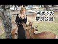 日本で冒険!奈良、神戸、京都に行ってきました!イギリス人の反応。
