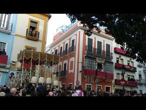 Real, Ilustre y Fervorosa Hermandad y Cofradía de Nazarenos de Nuestra Señora del Santo Rosario, Nuestro Padre Jesús de la Sentencia y María Santísima de la Esperanza Macarena