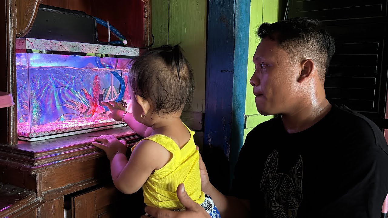 DENNY BATHANG DEPRESI KARNA PALUPI !  DI HUJAT NETIZEN ! - Aquarium kinara untuk elsha ! 😍❤️