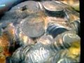 El precio de la historia Objeto mas Caro (valioso)