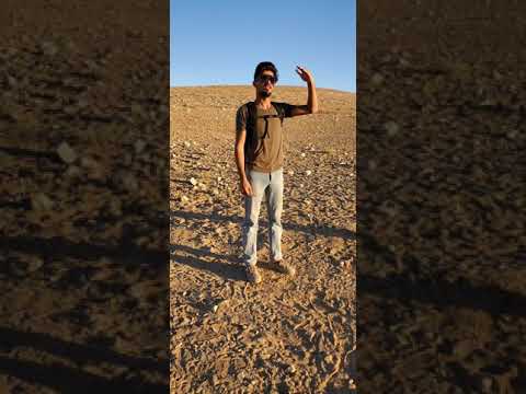 مؤسسة أسيد الجبور للتوزيع والإنتاج الفني أسيد الجبور شعشع