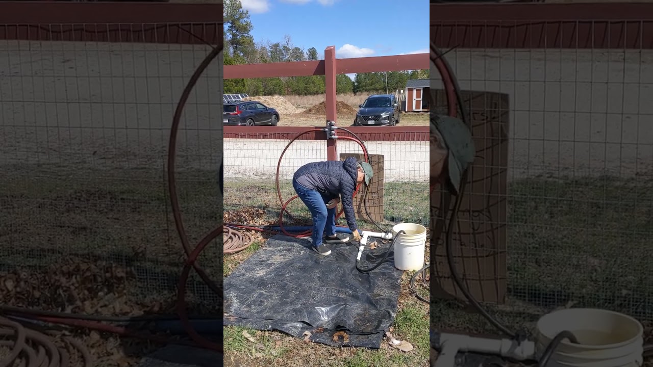 Non-potable water for seedlings prior to irrigation line activation.