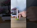 ¡Pon una vela dentro de un limón y descubre la increíble transformación!