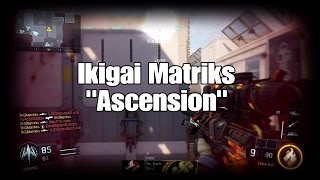 Ikigai Matriks - Ascension