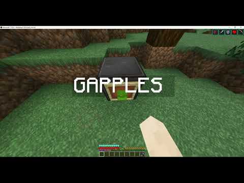 6b6t Item Frame Dupe