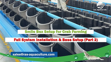 Smile Box Setup for Crab Farming | Full System Installation & Base Setup (Part 2)