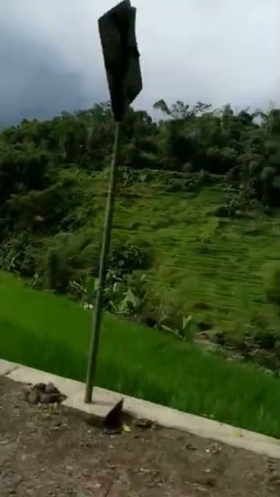 Pemandangan Sepanjang Jalan Menuju kota Garut