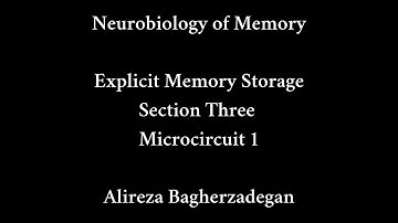 Lecture 13: Explicit Memory Storage, Microcircuits ( I )