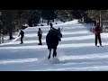 Massive Moose Chases Skiers Going Down Slope