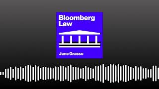 ICE Agent Shooting of Minneapolis Woman | Bloomberg Law Net Worth