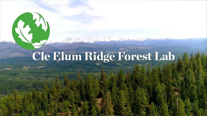 This 10,000-Acre ‘Forest Lab’ Is Supporting Both People and Nature