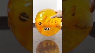 【可愛い!】スプラトゥーンの金イクラ!