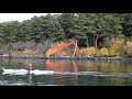 京浜運河を漕ぐ251206　Sea kayaking in Tokyo