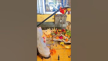 मांगू तुझसे क्या मैं ! Mahadev Status ! Bholenath Status #trendingshorts #mahadev #shivstatus