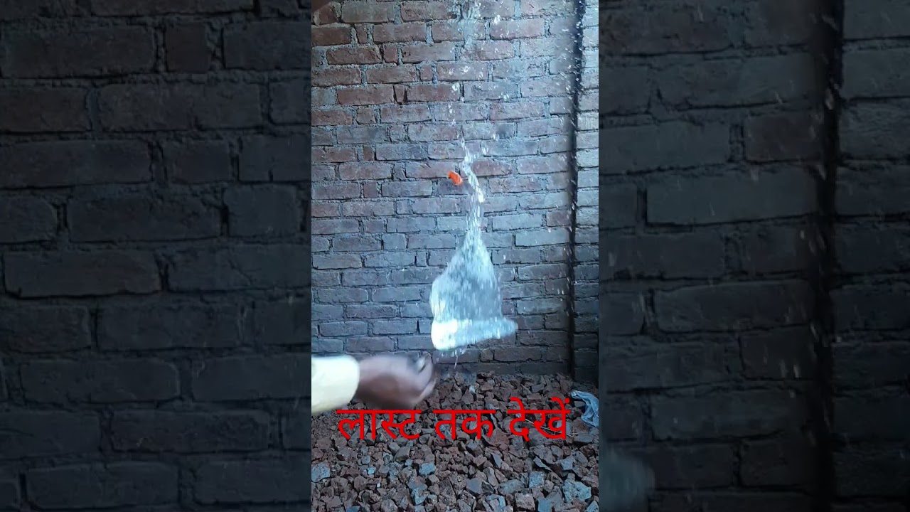 Slow Motion Burst The Balloon गुब्बारे को फोड़ने पर देखिए क्या हुआ