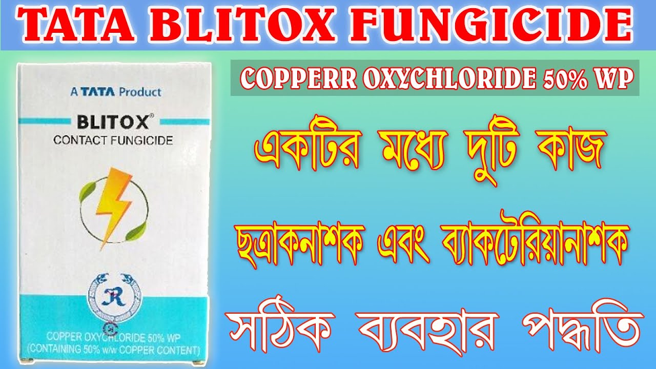 Arthouse porno filmlarini tomosha qiling Rus svingerlar porno onlayn tomosha qiling