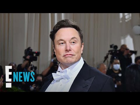 Elon Musk Seemingly Responds to Having Twin Babies | E! News