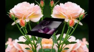 seni seviyorum bir tanem.wmv