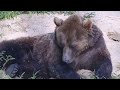 Утренний Отдых