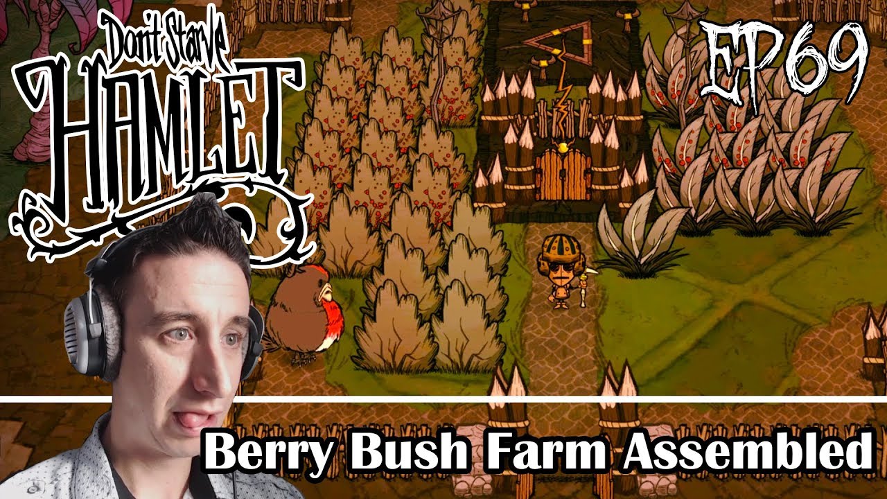 BERRY BUSH FARM IS ASSEMBLED | Don't Starve Hamlet EA Aporkalypse EP69