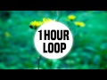 Nearly 2 hour loop, you reposted in the wrong swamp