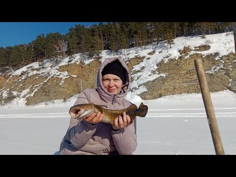 Рыбалка на поставки. Супруга поймала налима!!!