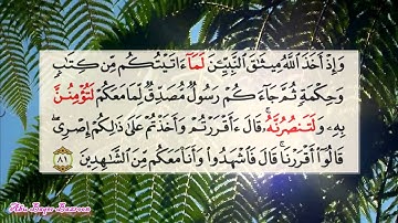تعلم كل يوم قراءة آية من كتاب الله  " سورة آل عمران آية ـ 81 "