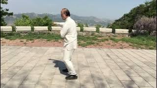 Lin ketong cannon fist @ dqs 2015