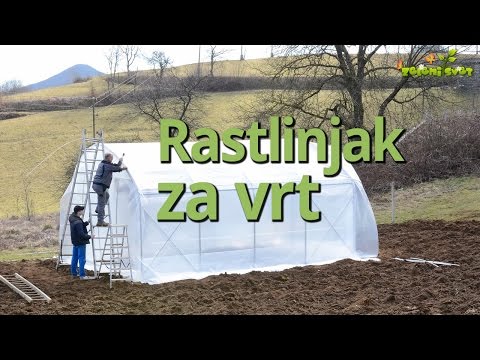 Video: Kako narediti rastlinjak z lastnimi rokami doma?