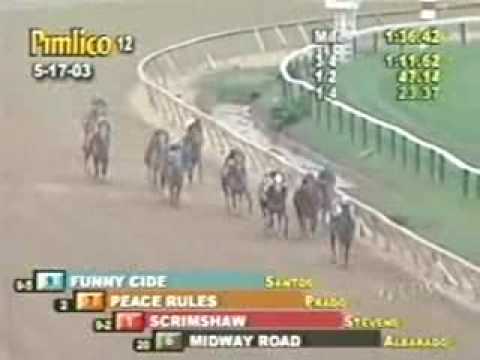 Funny Cide - 2003 Preakness Stakes